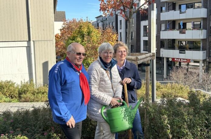 Bürgermeisterin Sandra Pietschmann mit Anita Schäfer, der 2. Vorsitzenden der "Aulen Mettmanner" und Friedel Liesenkloß, dem Baas der Bürger- und Heimatvereinigung, vor dem Amberbaum. Foto: Kreisstadt Mettmann