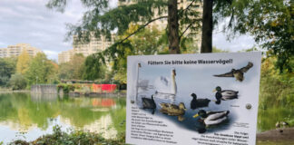 Die neuen Schilder erinnern an das Fütterungsverbot am Stadtweiher. Foto: Stadt Erkrath