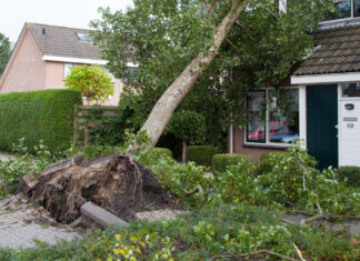 Sturmschäden sollte man zügig der Versicherung melden. Foto: VZ NRW/Adpic