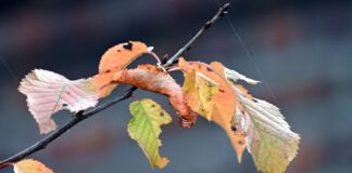 Pünktlich zum Ferienbeginn gibt es Herbstwetter in Nordrhein-Westfalen. (Symbolbild)