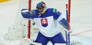 Routinier Julius Hudacek steht bis Saisonende bei den Kölner Haien im Tor. 