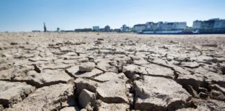 Das Land NRW setzt gegen den Klimawandel auf eine Klimaanpassungsstrategie mit mehr als 100 Maßnahmen. (Archivfoto)