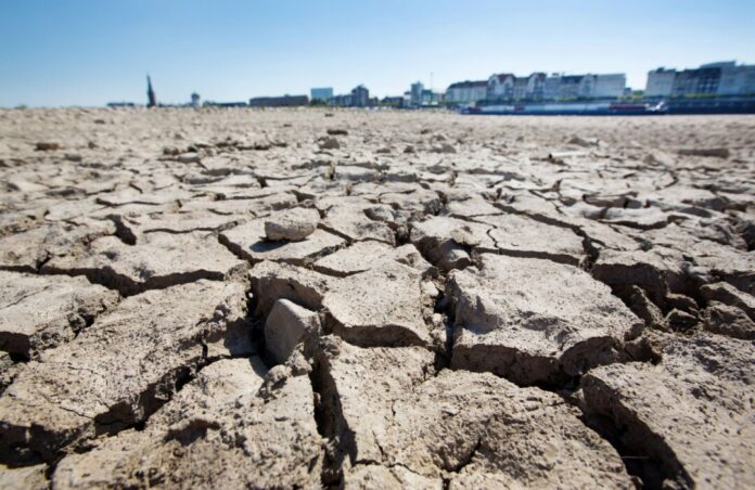 Das Land NRW setzt gegen den Klimawandel auf eine Klimaanpassungsstrategie mit mehr als 100 Maßnahmen. (Archivfoto)