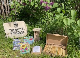 Einhundert Kindertagesstätten können sich nun über jeweils zwei Insektenentdecker-Sets des WWF Deutschland freuen. Foto: Theresa Karkow/WWF