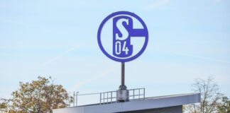 Der FC Schalke 04 will eine Genossenschaft gründen.