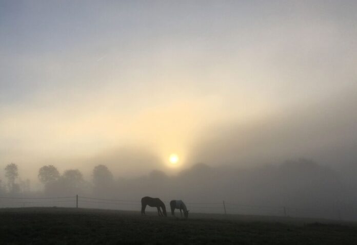 Ein Mix aus Sonne und Nebel steht den Menschen in Nordrhein-Westfalen bevor. (Symbolbild)