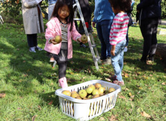 Die Kaiserswerther Diakonie plant eine Kinderbetreuung für die Sommerferien 2025 Foto: Kaiserswerther Diakonie/Unternehmenskommunikation