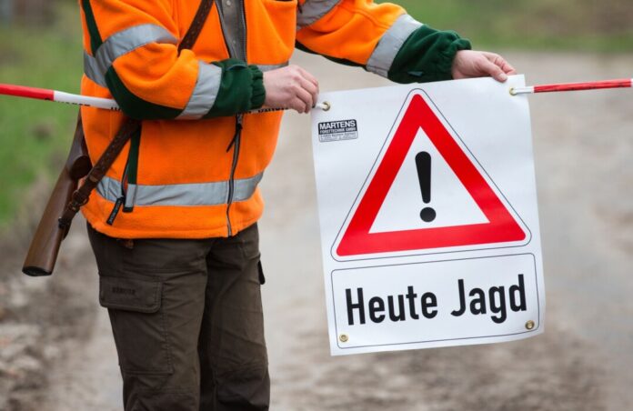  Mit 41.611 Wildschweinen wurden im vergangenen Jagdjahr in NRW rund 40 Prozent mehr erlegt als im Vorjahr. (Archivbild) 