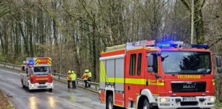 An der Wülfrather Straße wurden mehrere lose Äste aus Baumkronen gelöst. Foto: Feuerwehr Heiligenhaus