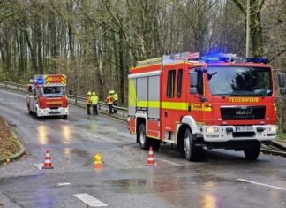 An der Wülfrather Straße wurden mehrere lose Äste aus Baumkronen gelöst. Foto: Feuerwehr Heiligenhaus