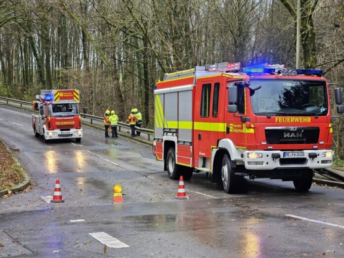An der Wülfrather Straße wurden mehrere lose Äste aus Baumkronen gelöst. Foto: Feuerwehr Heiligenhaus