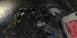 Die Papiermülltonne brannte vollständig nieder. Foto: Polizei