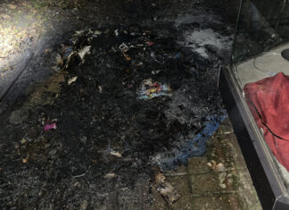 Die Papiermülltonne brannte vollständig nieder. Foto: Polizei