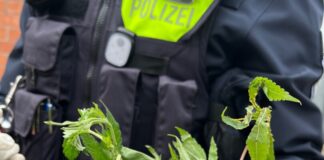 Die Polizei stellte mehrere Säcke voller Cannabis sicher. Foto: Polizei