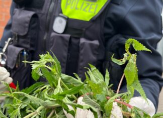 Die Polizei stellte mehrere Säcke voller Cannabis sicher. Foto: Polizei
