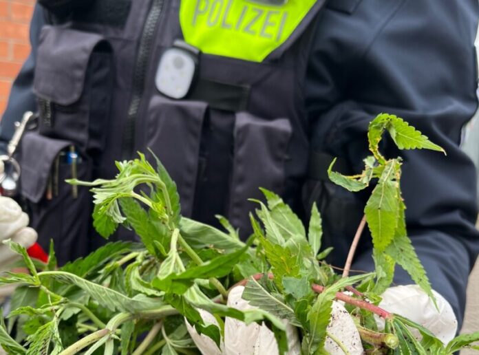 Die Polizei stellte mehrere Säcke voller Cannabis sicher. Foto: Polizei