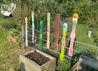 Viele bunte Akzente gibt es im Gemeinschaftsgarten zu sehen. Foto: Caritas