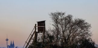 Klarer Himmel, weite Sicht: Bis Sonntag bleibt es etwa im Rheinland noch recht winterlich.