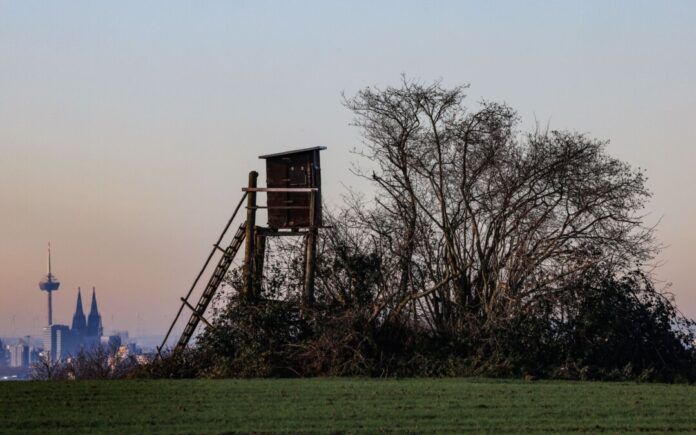 Klarer Himmel, weite Sicht: Bis Sonntag bleibt es etwa im Rheinland noch recht winterlich.