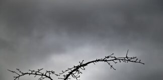 Zum Wochenstart wird das Wetter wieder unbeständiger. Wolken ziehen auf. In der Silvesternacht sind stürmische Böen möglich. (Archivbild)