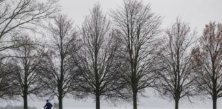 In den nächsten Tage bleibt das Wetter überwiegend trüb. (Symbolbild)