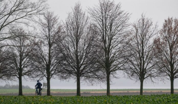 In den nächsten Tage bleibt das Wetter überwiegend trüb. (Symbolbild)