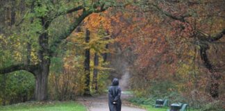 In der neuen Woche bestimmen Regen und Wolken das Wetter. Die Temperaturen sind mild. (Archivbild)