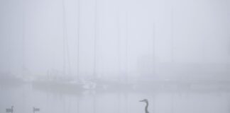 In Nordrhein-Westfalen wird es die nächsten Tage zwar etwas milder, aber vielerorts nebelig. (Archivfoto)