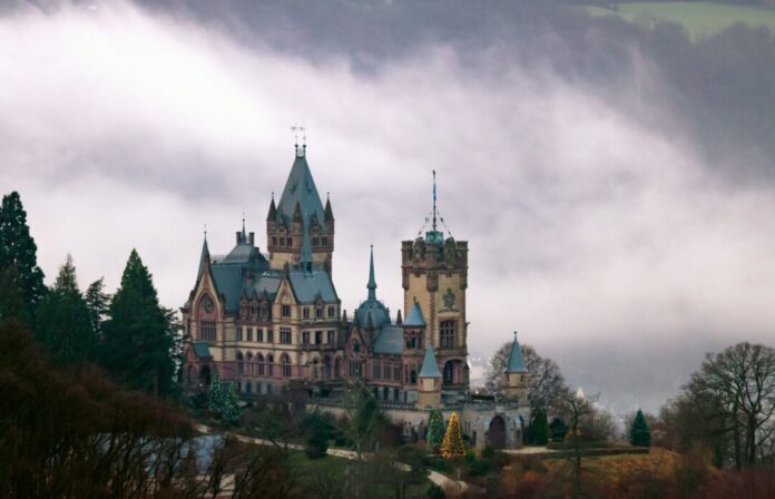 Weihnachtsbäume leuchten an der im Nebel liegenden Drachenburg.