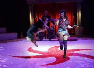 Akrobatik und Tierdressur gibt es im Zirkus zu sehen. Foto: Tarantini Entertainment