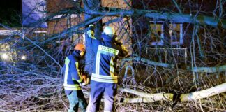 Schwere Sturmböen in Teilen NRW wehen Bäume um - im Zugverkehr gibt es Sperrungen und Behinderungen. (Archivbild)