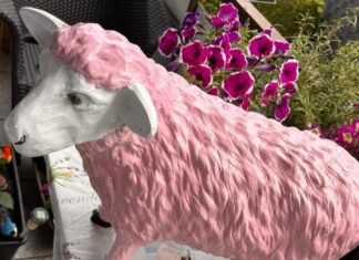 Diese bemalte Schafsfigur wird schmerzlich vermisst. Foto: privat
