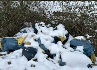In der Nähe der Brücke am Sandfeld in Dornap wurden die Säcke illegal entsorgt. Foto: Regiobahn