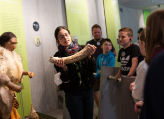 Schülerinnen und Schüler der Carl-Ruß-Schule aus Solingen erkunden als Kulturscouts das Neanderthal-Museum. Foto: F. Schardt