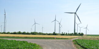 In mehreren Windparks in Süddeutschland (hier der Windpark Kahlenberg/Rheinland-Pfalz) drehen sich Rotoren für die WSW. Foto: WSW