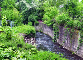 Der Deilbach im Bereich der Donnerstraße in Langenberg. Foto: BRW