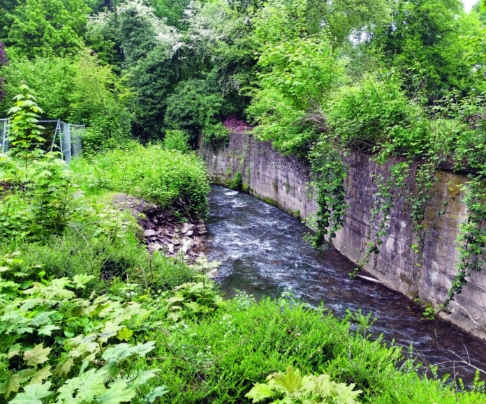 Der Deilbach im Bereich der Donnerstraße in Langenberg. Foto: BRW