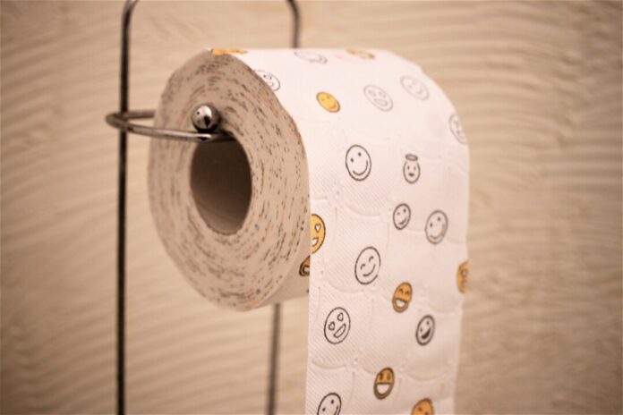Toilettenpapier ist zu sehen. Foto: pixabay