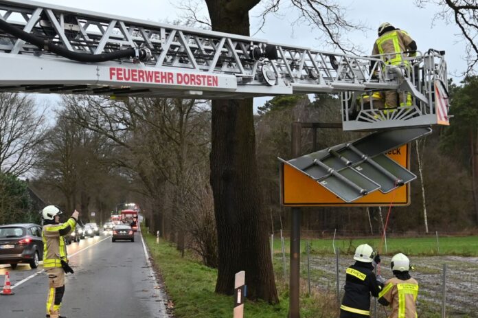 Der Sturm über NRW lässt Bäume umstürzen.