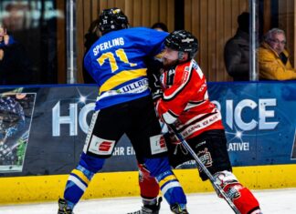 Die Ice Aliens haben den Einzug in Viertelfinale klargemacht. Foto: Leo Willem