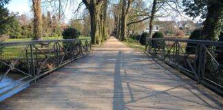 Zur Vogelbeobachtung eignet sich der Poensgenpark besonders gut. Foto: Stadt Ratingen