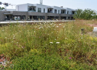 Grün hilft dabei, dass Regenwasser versickern kann. Foto: VZ NRW, Michael Richter, HCU Hamburg