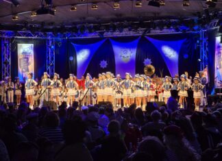 Bei der Prunksitzung in der Stadthalle waren die Jecken los. Foto: Alexander Heinz