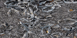"Waste Art II" von Klaus Lenzen. Bildrechte: Klaus Lenzen