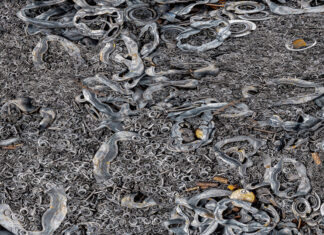 "Waste Art II" von Klaus Lenzen. Bildrechte: Klaus Lenzen