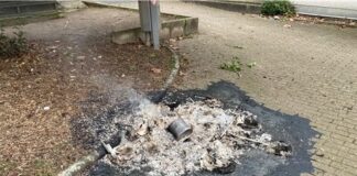 Die Mülltonne brannte vollständig nieder. Foto: Polizei
