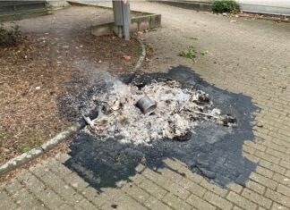 Die Mülltonne brannte vollständig nieder. Foto: Polizei