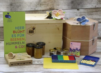 Bei der Initiative Bienen machen Schule soll Kindern ein Erlebnis mittels der Bienenwunder-Sets geboten werden. Foto: Nick Leukhardt