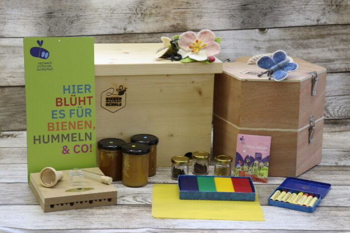 Bei der Initiative Bienen machen Schule soll Kindern ein Erlebnis mittels der Bienenwunder-Sets geboten werden. Foto: Nick Leukhardt