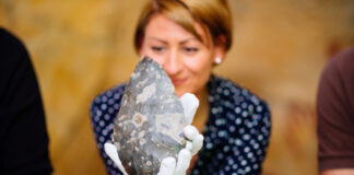 Am 15. März findet wieder der "Bestimmungstag" im Neanderthal-Museum statt. Foto: Neanderthal-Museum